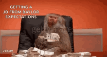 Getting A Jd From Baylor Expectations Monkey GIF - Getting A Jd From Baylor Expectations Monkey Counting Money GIFs