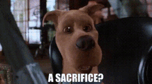 Scooby Doo A Sacrifice GIF - Scooby Doo A Sacrifice Sacrifice GIFs