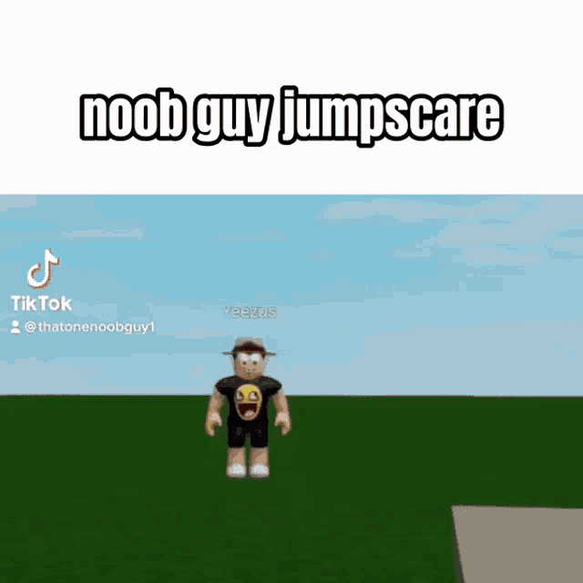 roblox meme noob face｜Pesquisa do TikTok