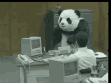 panda stressed angry rage pissed