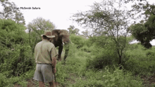 Elephant Elephant Charges Man GIF - Elephant Elephant Charges Man Charging Elephant GIFs