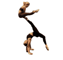 gymnastics flexible lift stunt acrobat