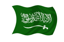 ksa kingdom flag wave saudi arabia