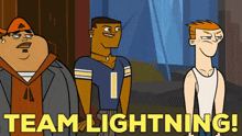 Total Drama Lightning GIF - Total Drama Lightning Team Lightning GIFs