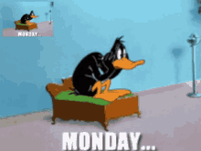 Daffy Duck Monday GIF - Daffy Duck Monday Bothered GIFs