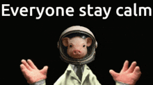 a picture of a pig wearing a helmet with the words everyone stay calm above it
