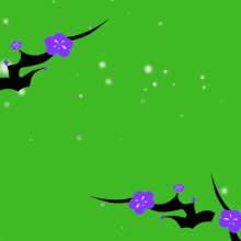 a green background with purple flowers and the words ' islamic ' on it