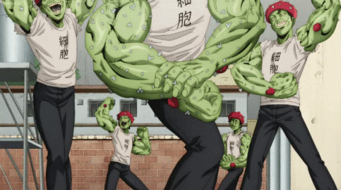 Anime Cells At Work GIF - Anime Cells At Work Buff GIFs