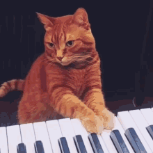 Piano Piano Cat GIF - Piano Piano Cat Cutest Cat GIFs