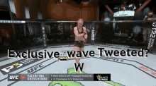 Exclusive Wave Exclusivewave GIF