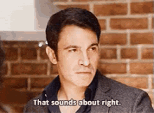 That Sounds About Right GIF - Sounds About Right Chris Messina The Mindy Project GIFs