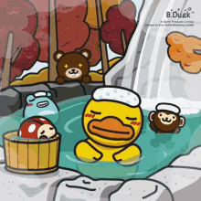 bduck duck ducky warm hot spring