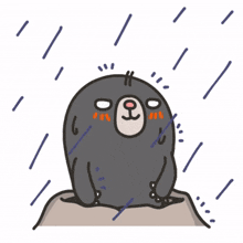 raining rainy
