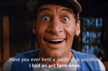 Have You Ever Leadership Position GIF - Have You Ever Leadership Position Ant Farm Once GIFs
