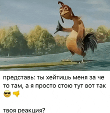 a picture of a rooster riding a surfboard in the water with a caption in russian