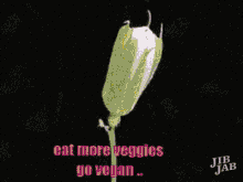 eat more veggies go vegan vegan