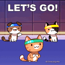 Lets Go Yes GIF - Lets Go Yes Yeah GIFs