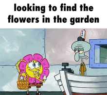 Looking To Find The Flowers In The Garden Spongebob GIF - Looking To Find The Flowers In The Garden Spongebob Hawaii Part Ii GIFs