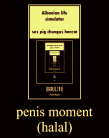 Penis Moment Hlal GIF - Penis Moment Hlal Halal GIFs