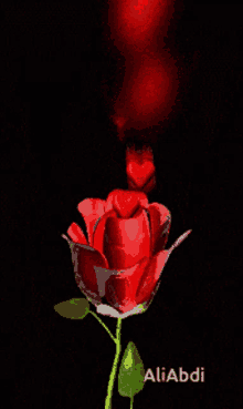 Rose Heart GIF