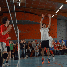 Volleyball Eag GIF