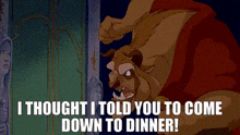 Beauty And The Beast I Thought I Told You GIF - Beauty And The Beast I Thought I Told You Come Down GIFs
