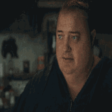 The Whale Content Aware GIF - The Whale Content Aware Whale GIFs
