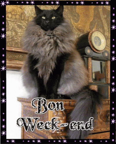 Bon Weekend Chat Salutations Amie Amis GIF - Bon Weekend Chat Salutations  Amie Amis - Discover & Share GIFs