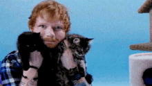 Ed Sheeran Cats GIF - Ed Sheeran Cats Cat GIFs