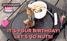 Its Your Birthday Lets Go Nuts.Gif GIF