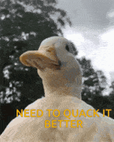 Quack It Better Duck GIF - Quack It Better Quack Duck GIFs
