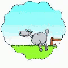 droom slap schapen