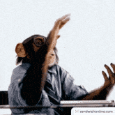 Clap Clapping GIF - Clap Clapping Clapping Monkey GIFs