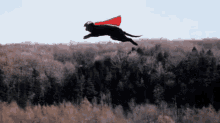 When You'Re Trying To Be Impressive And Then GIF - Dog Flying Superman GIFs