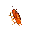 Cockroach Dancing Sticker