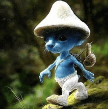шайлушай Smurf Cat GIF