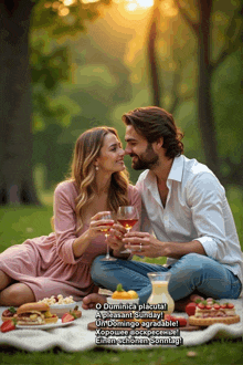 a man and a woman are sitting on a blanket toasting with wine