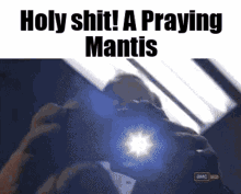 Real Praying GIF - Real Praying Mantis GIFs