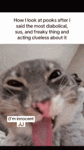 a close up of a cat with its tongue hanging out and a caption that says " i 'm innocent "