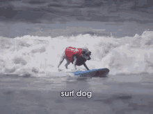 Dog Competes In Helen Woodward Animal Center'S Surf-a-thon GIF - Surf Dog Surfing GIFs