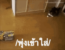 a cat is playing with a stack of dove chewy bars