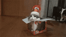 お正月　あけまして　猫　ねこ　ネコ　鏡餅　かがみもち GIF - Akemashite Cat Kagamimochi GIFs