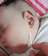 Baby Qtip GIF - Baby Qtip Ear GIFs