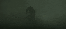 a dark green background with a shadow of a person standing in the fog .