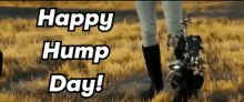Transformers Hump Day GIF - Transformers Hump Day Happy GIFs