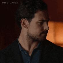Is Everything Alright Cole Ellis GIF - Is Everything Alright Cole Ellis Wild Cards GIFs