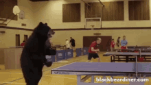 Table Tennis Ping Pong GIF