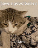 Jalam Sleepy GIF - Jalam Sleepy Snuggles GIFs