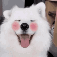 Dog Love GIF - Dog Love Blush GIFs