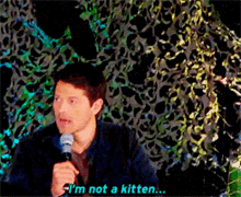 Misha Collins Supernatural GIF - Misha Collins Supernatural Im Not A Kitten GIFs